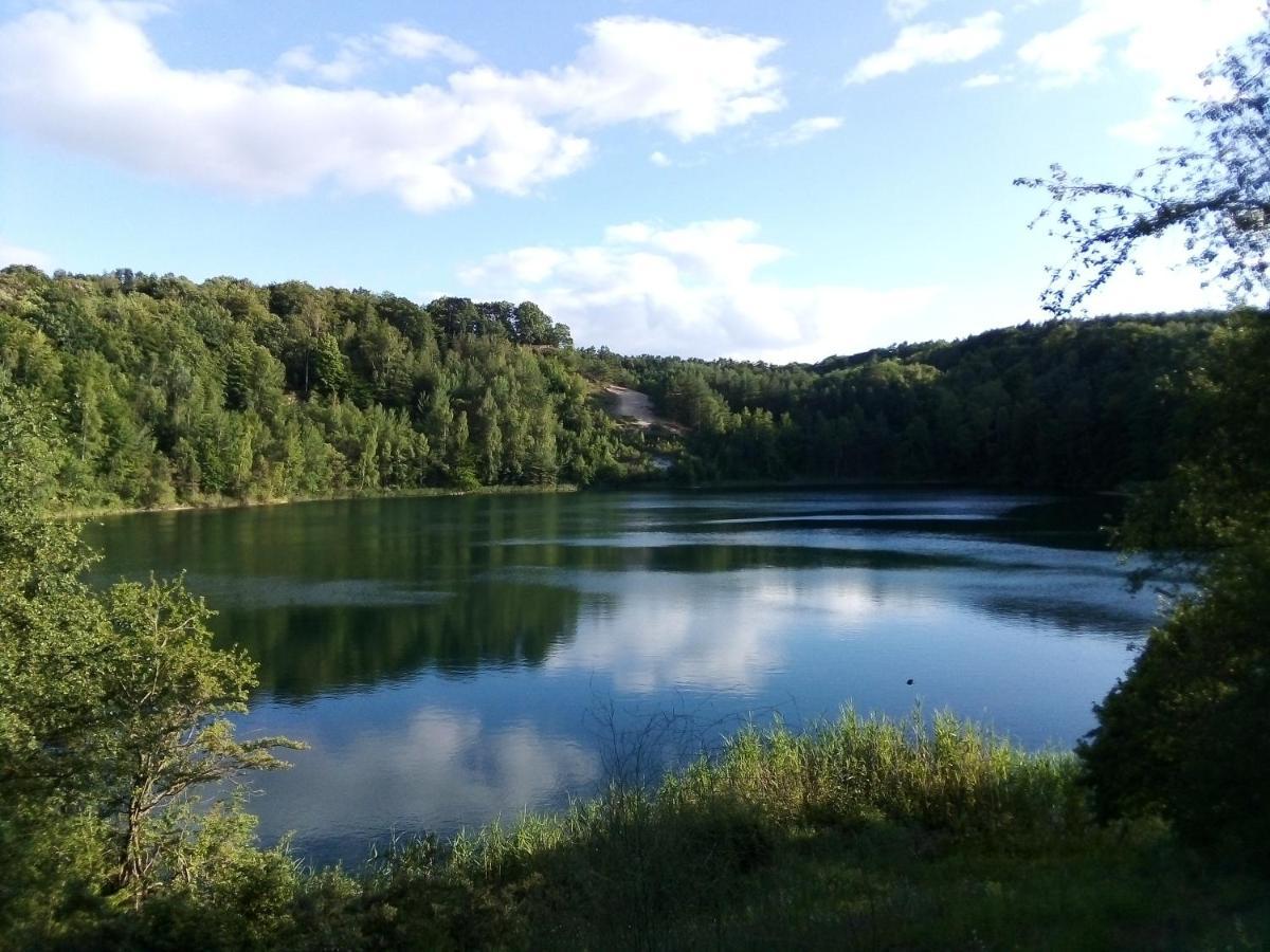 Apartament Joanna Wapnica  Bagian luar foto